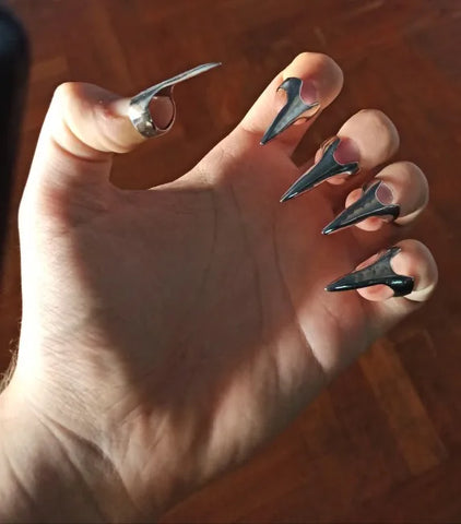 Griffes de torture en acier inoxydable