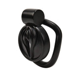 Cage de chasteté Pussy en acier