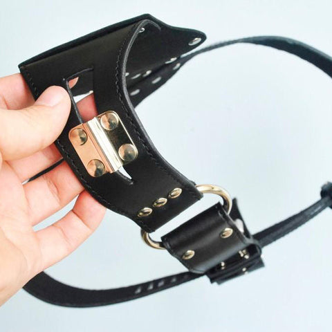 Ceinture Chasteté en Cuir