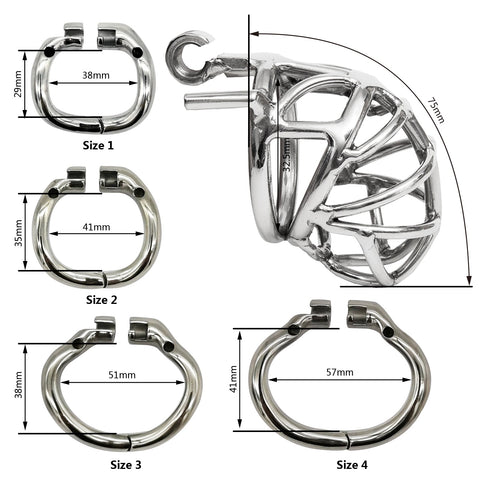 dimension cage de chasteté