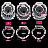 Cage à pénis bouclier