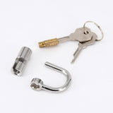 Cadenas Piercing Prince Albert en acier