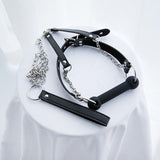 accessoire BDSM bâillon laisse