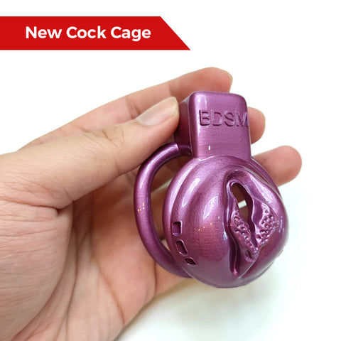 Cage de chasteté - dispositif vaginal BDSM