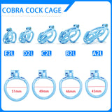 Kit chasteté Cobra bandes bleues