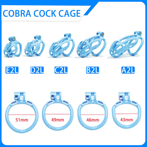 Kit chasteté Cobra bandes bleues