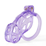 Cage chasteté Ice Vision violet