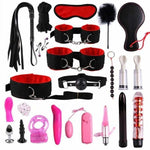 Kit Bdsm 22 Pièces349