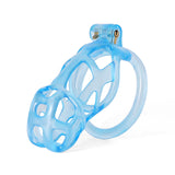 Cage chasteté Ice Vision Design Cobra bleu