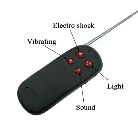 Collier électrique Cbt à distance pour le pénis et les testicules