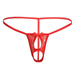 String anatomique ouverture pénis testicules