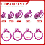 Kit de chasteté Purple Hole Cobra