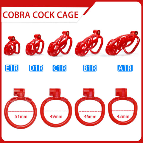 Kit de chasteté cage serpent rouge