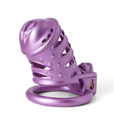 Impression 3D Sissy Vaginale Purple Spiked Chatte