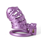 Chatte 3D Vaginale Sissy Spiked Purple Impression