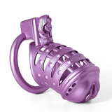 Sissy Purple Vaginale Spiked en impression 3D