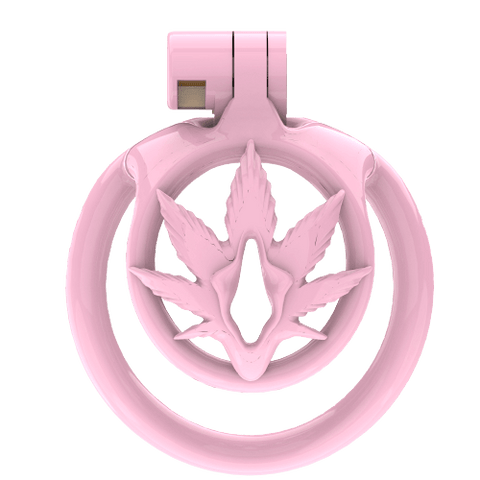 Accessoire de chasteté pour femme WX-5