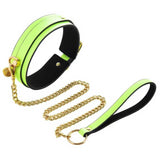 collier sécurité chien phosphorescent