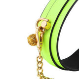 collier chien avec effet phosphorescent