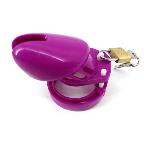 Cage de chasteté gb6000 violette